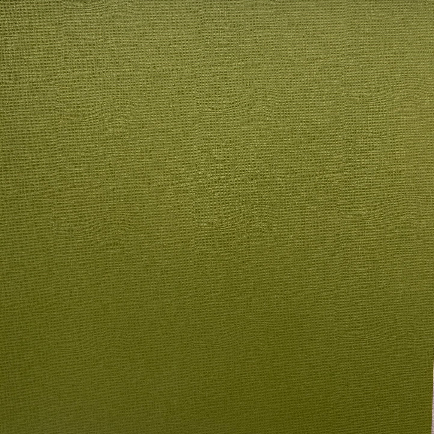 Encore Succulent olive green textured cardstock for Cricut cutting