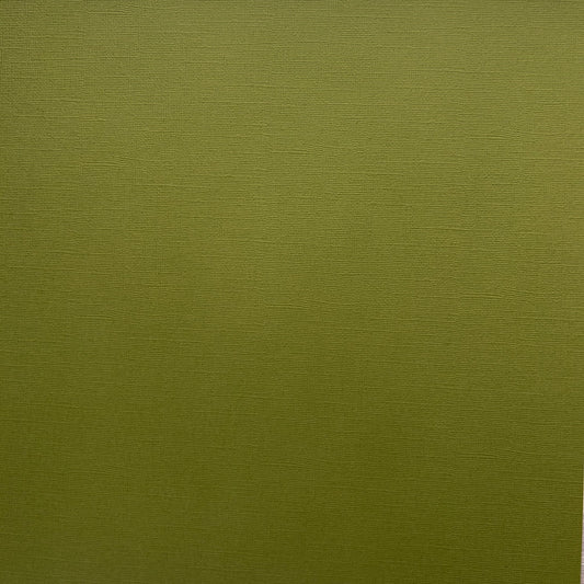Encore Succulent olive green textured cardstock for Cricut cutting
