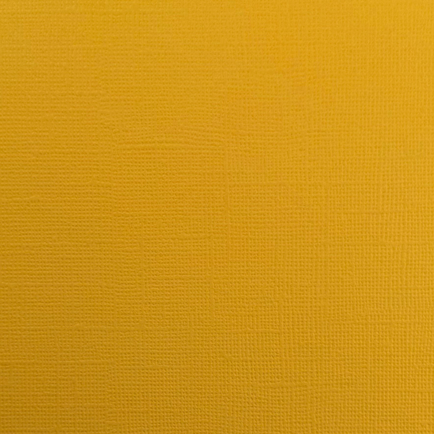 WILDFLOWER HONEY - Canvas Texture 25 Pack - E2-906