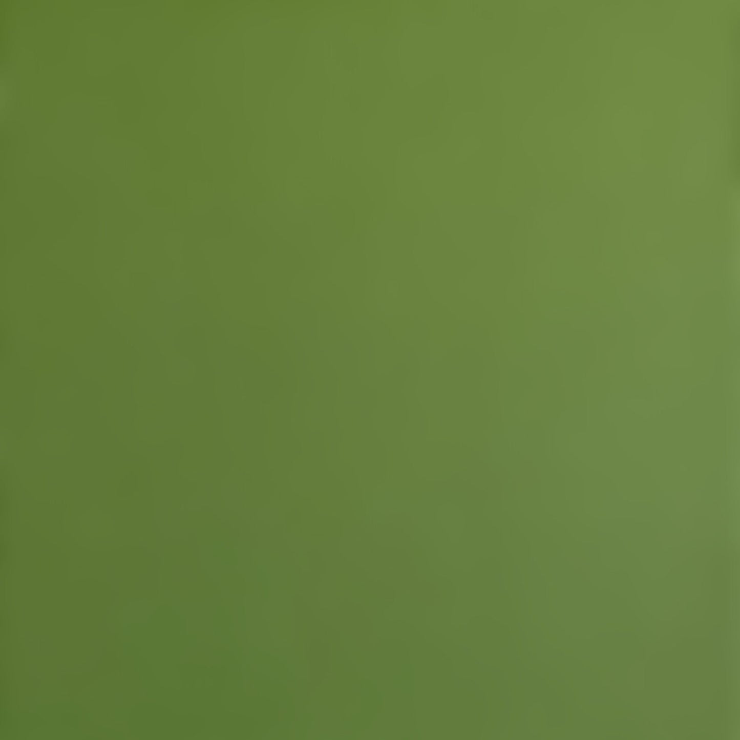FOREST MOSS - Smooth 12x12 Cardstock - Encore Paper