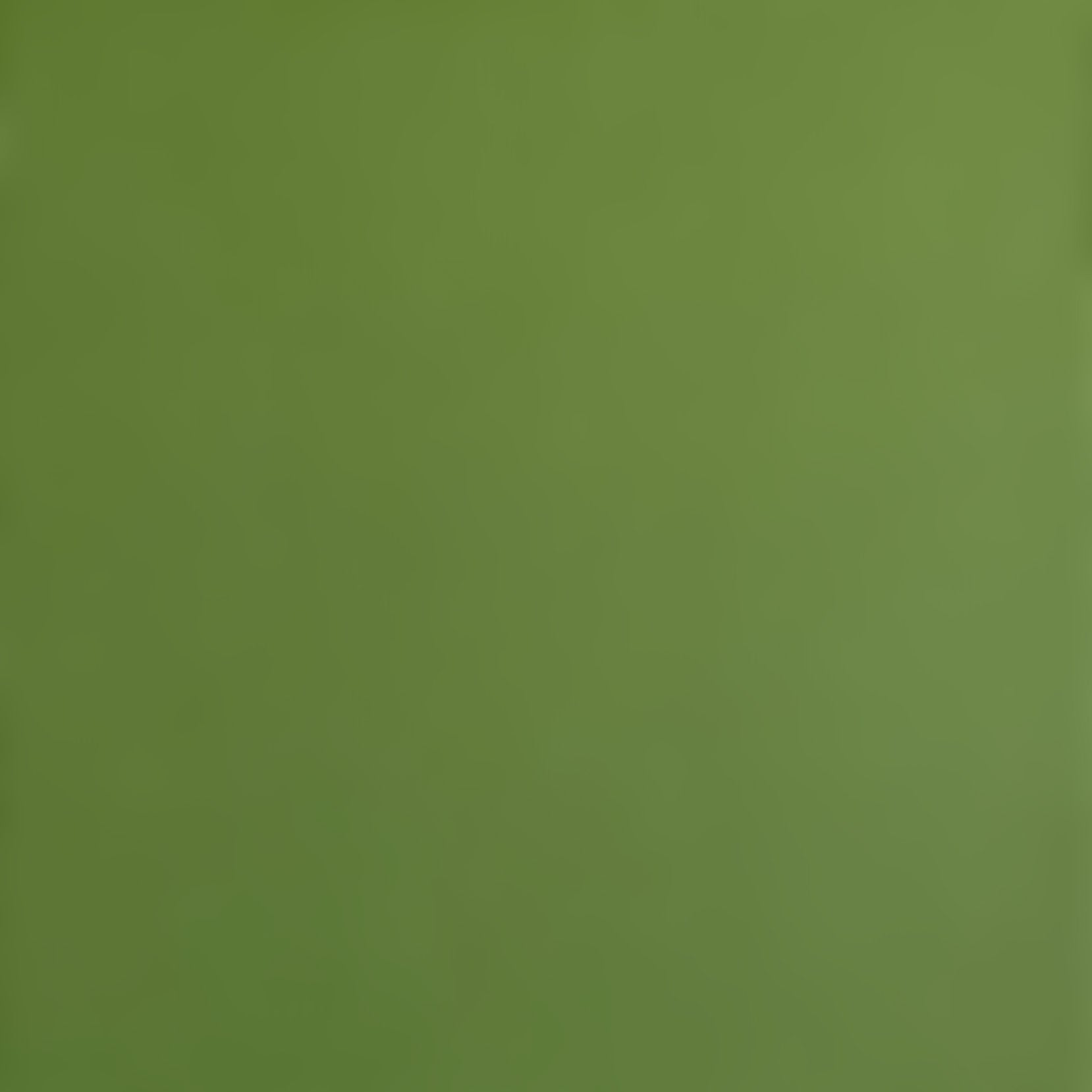 FOREST MOSS - Smooth 12x12 Cardstock - Encore Paper