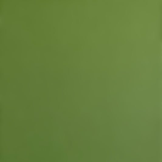 FOREST MOSS - Smooth 12x12 Cardstock - Encore Paper