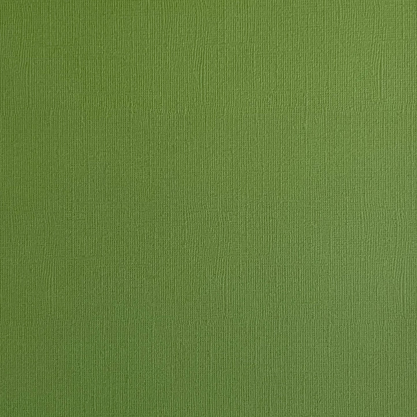 FOREST MOSS - Moss Green Textured 12x12 Cardstock - Encore Paper