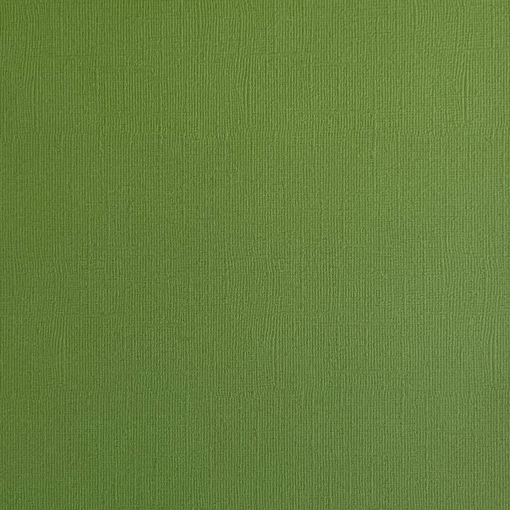 FOREST MOSS - Moss Green Textured 12x12 Cardstock - Encore Paper