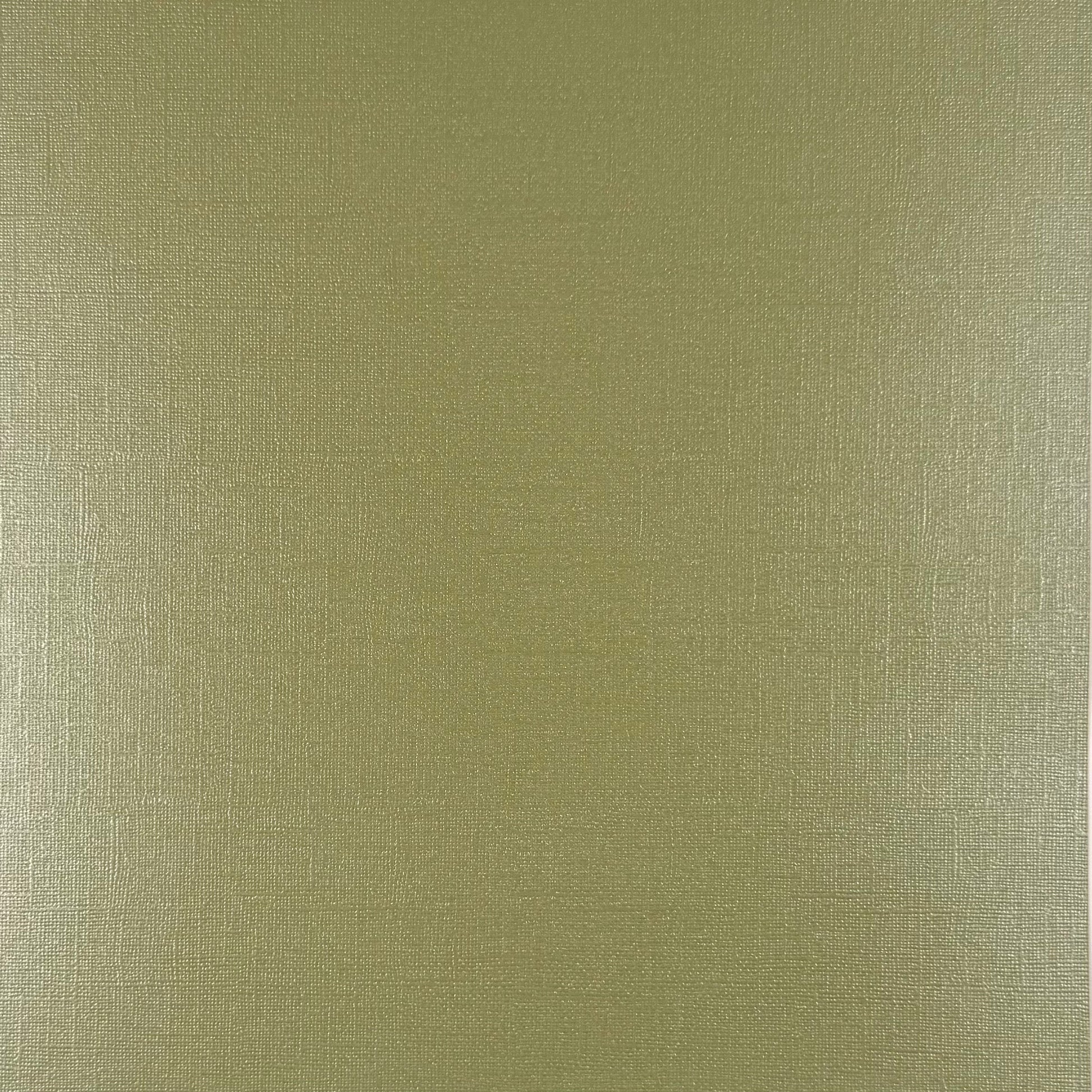 FROSTY LIME - 12x12 Textured Pearlescent Cardstock - Encore Shimmer