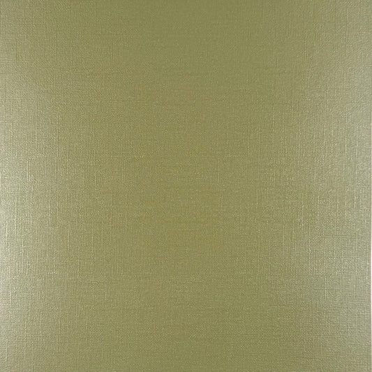 FROSTY LIME - 12x12 Textured Pearlescent Cardstock - Encore Shimmer