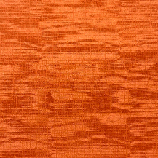 GOLDFISH - Textured Orange 12x12 Cardstock - Encore Paper