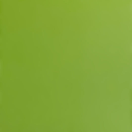 GRASSHOPPER - Smooth 12x12 Cardstock - Encore Paper