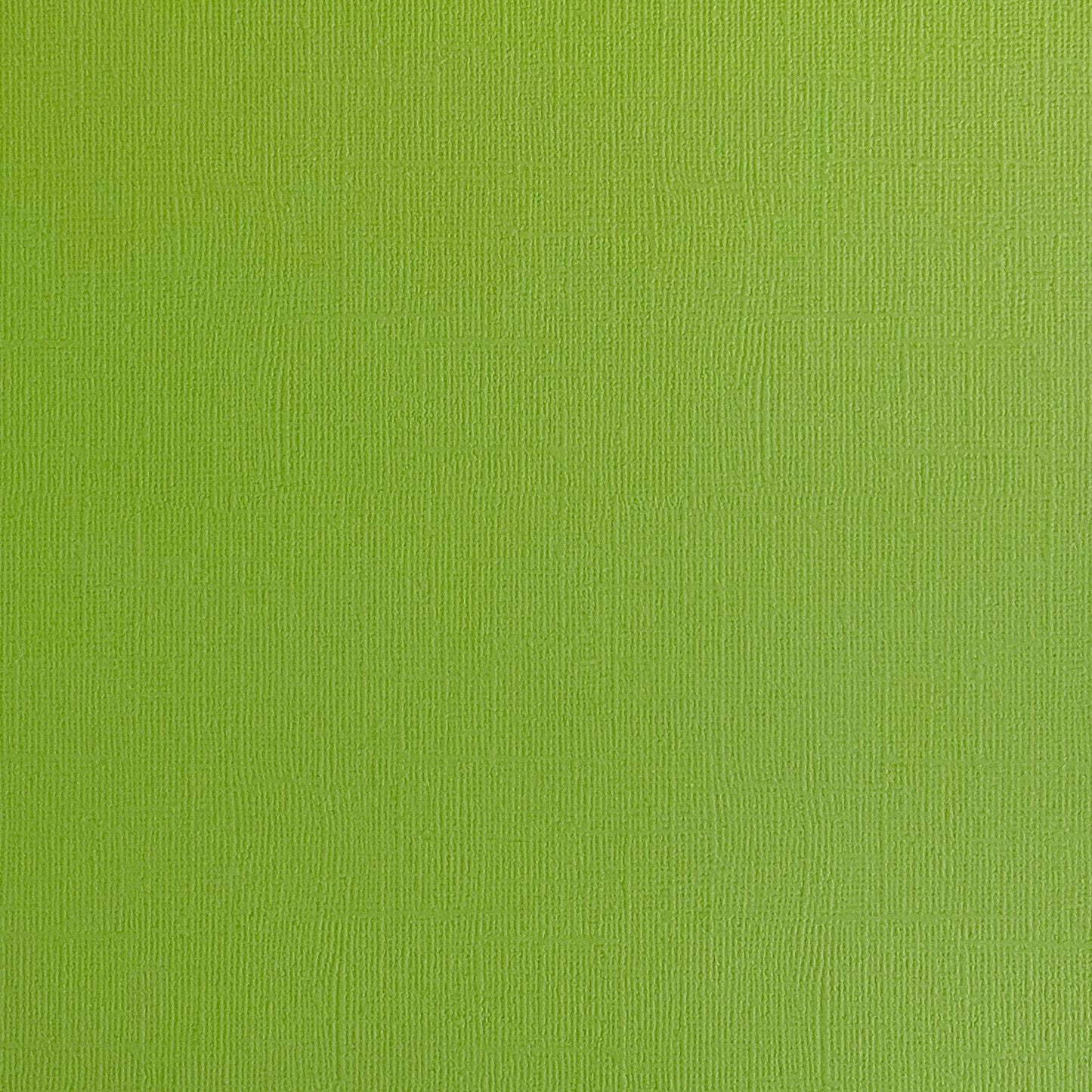 GRASSHOPPER - Textured 12x12 Cardstock - Encore Paper