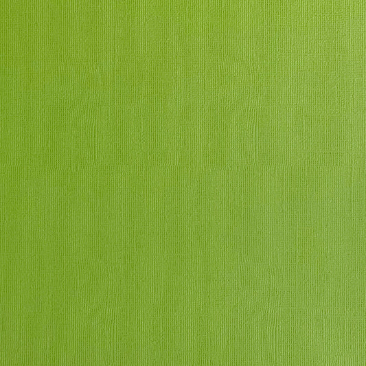 GRASSHOPPER - Textured 12x12 Cardstock - Encore Paper