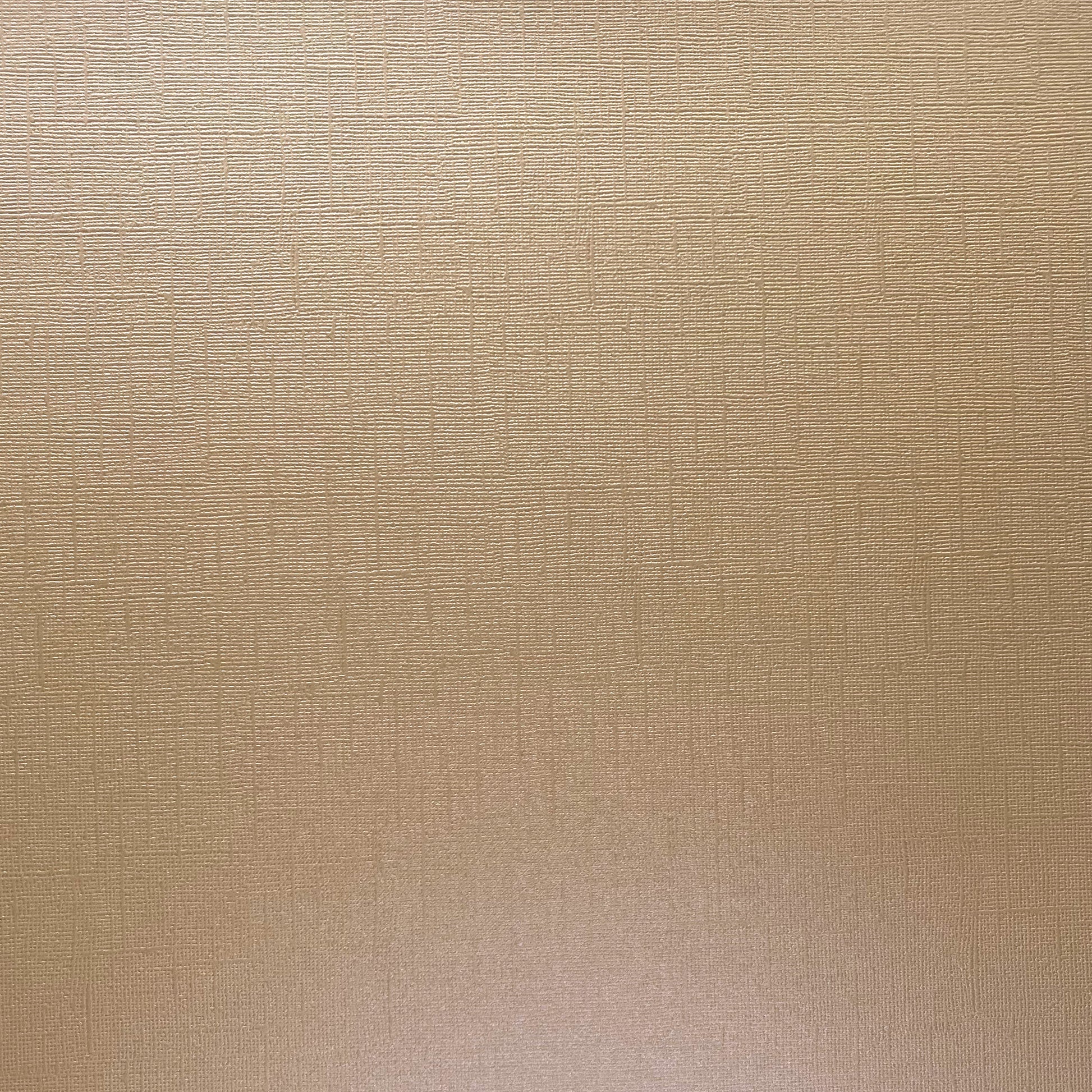 GOLD SAND - 12x12 Textured Pearlescent Cardstock - Encore Shimmer