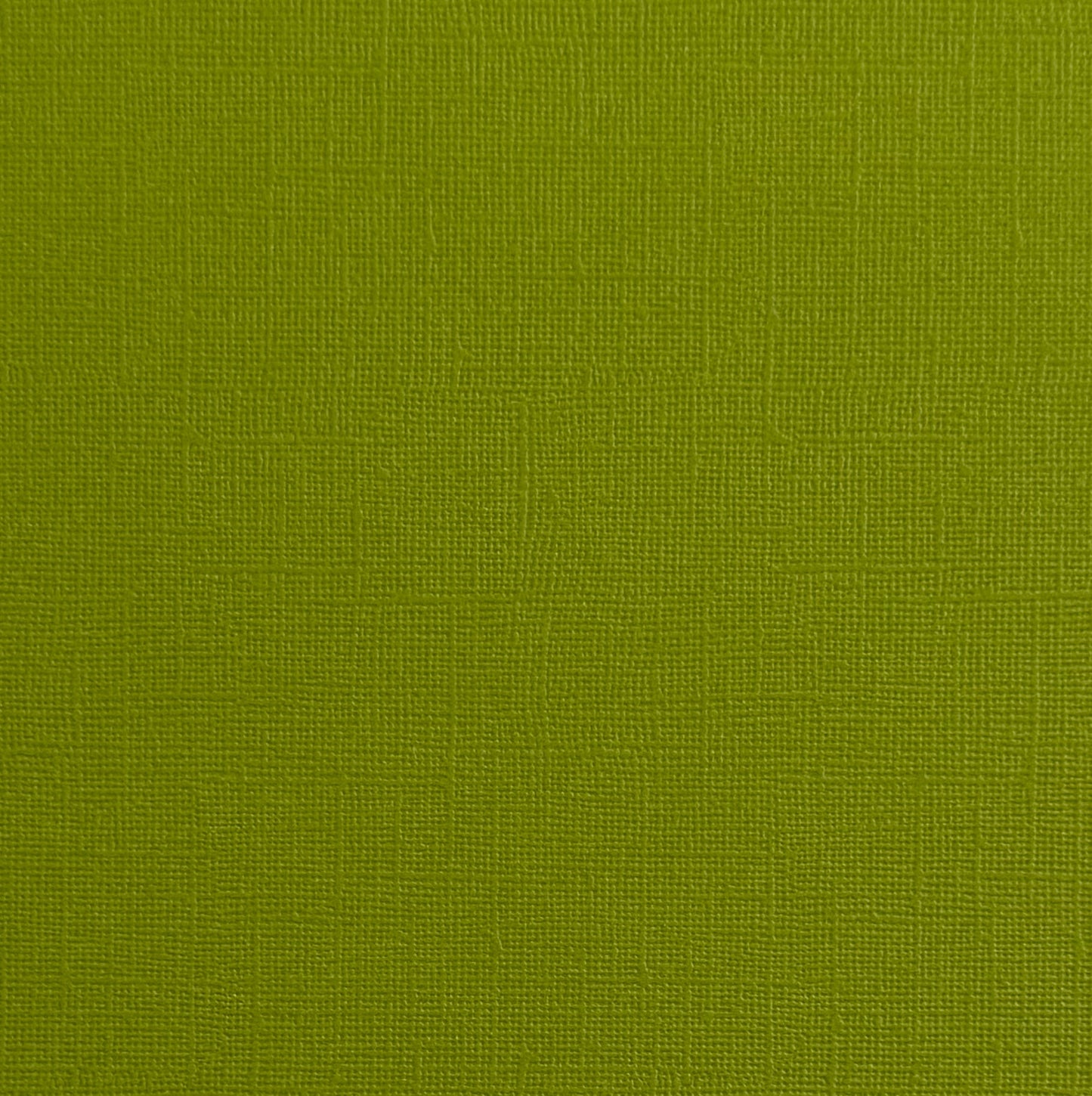 GREEN IGUANA - Bright Green Textured 12x12 Cardstock - Encore Paper