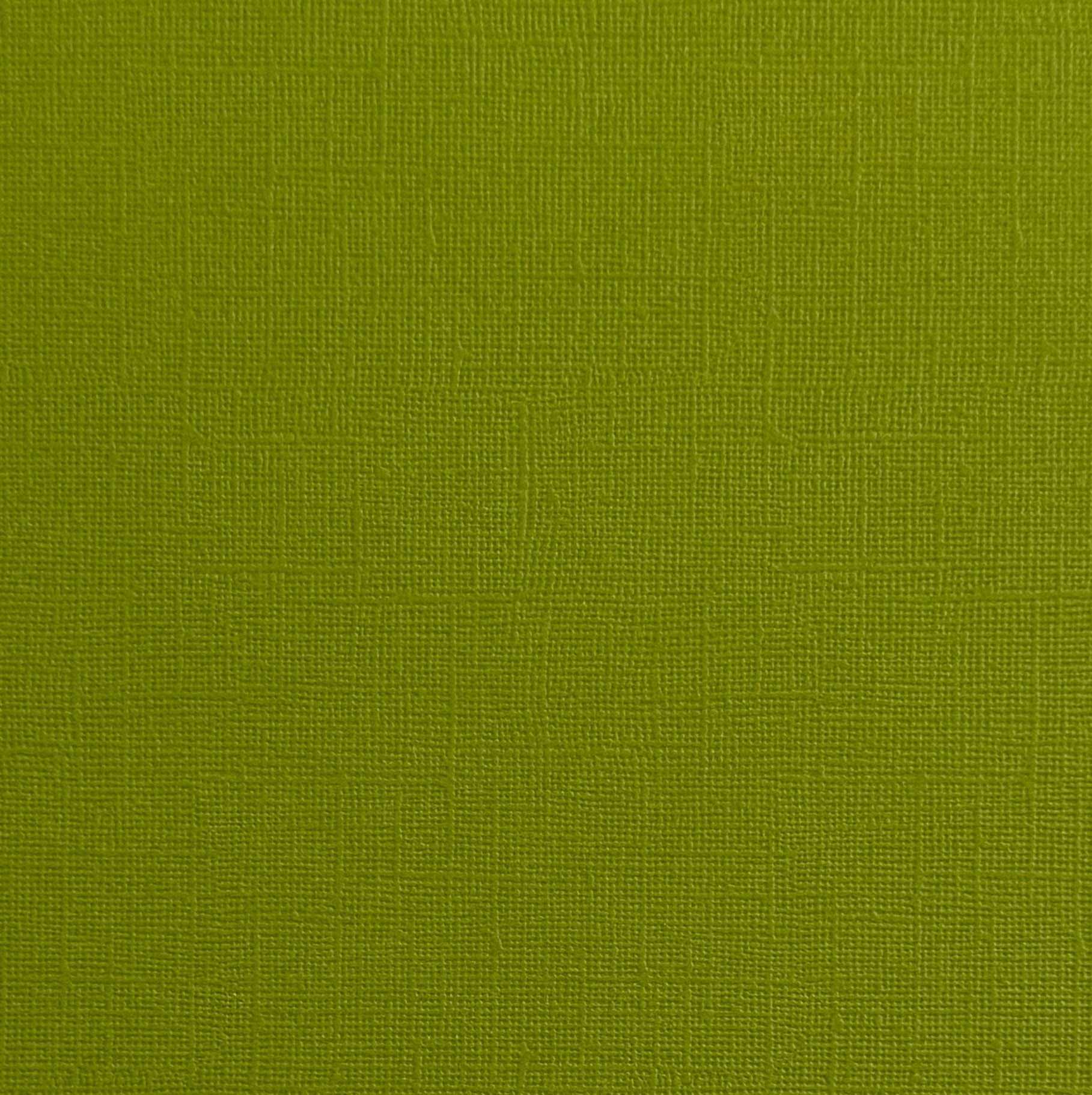 GREEN IGUANA - Bright Green Textured 12x12 Cardstock - Encore Paper