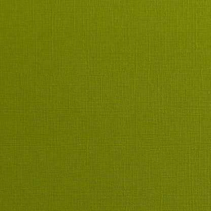 GREEN IGUANA - Bright Green Textured 12x12 Cardstock - Encore Paper