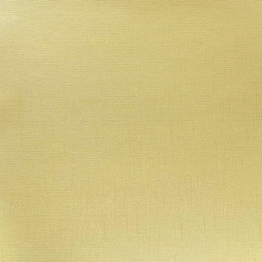 HONEYCOMB - Shimmery Textured 12x12 Cardstock - Encore Paper
