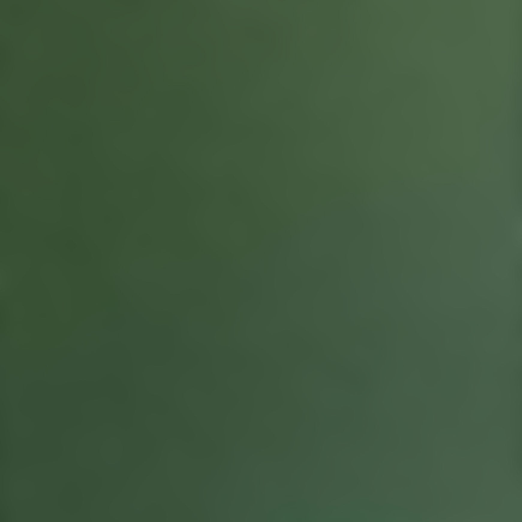 HUNTER GREEN - Smooth 12x12 Cardstock - Encore Paper
