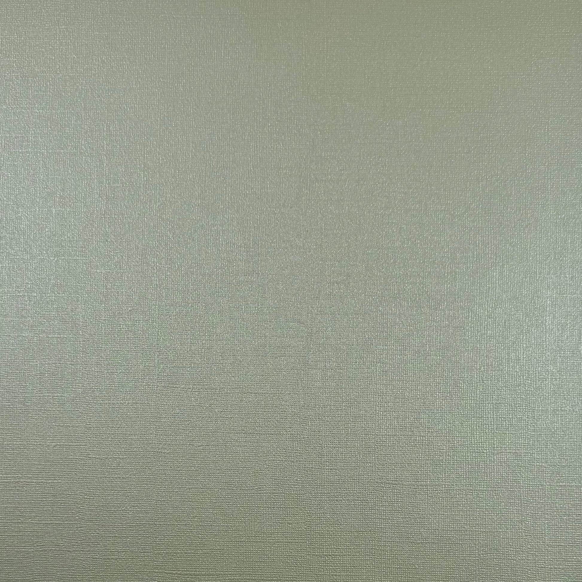 ICED MINT - 12x12 Textured Pearlescent Cardstock - Encore Shimmer