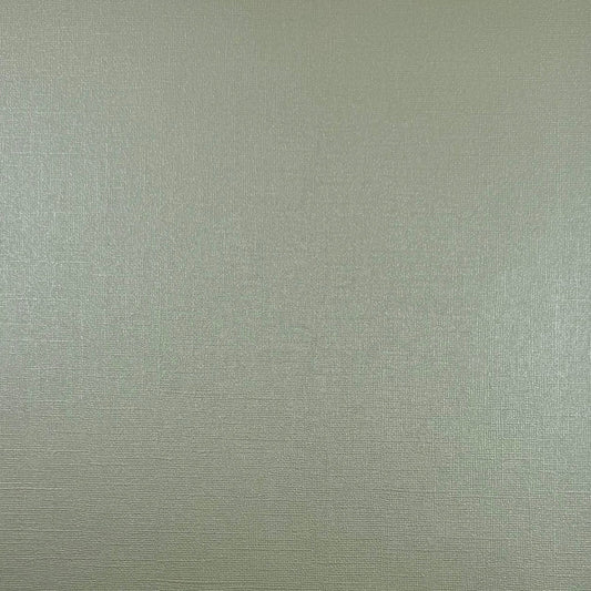 ICED MINT - 12x12 Textured Pearlescent Cardstock - Encore Shimmer