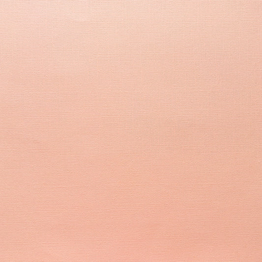 PEACH SHERBET - Canvas Texture 25 Pack - E2-139