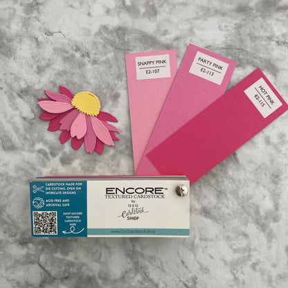 HOT PINK - Canvas Texture 25 Pack - E2-115