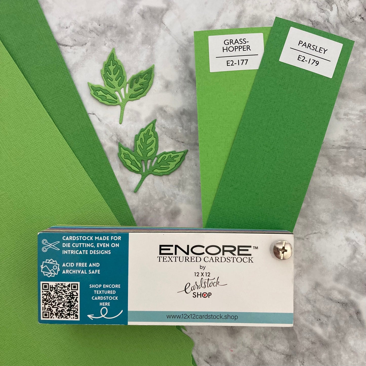 PARSLEY - Canvas Texture 25 Pack - E2-179