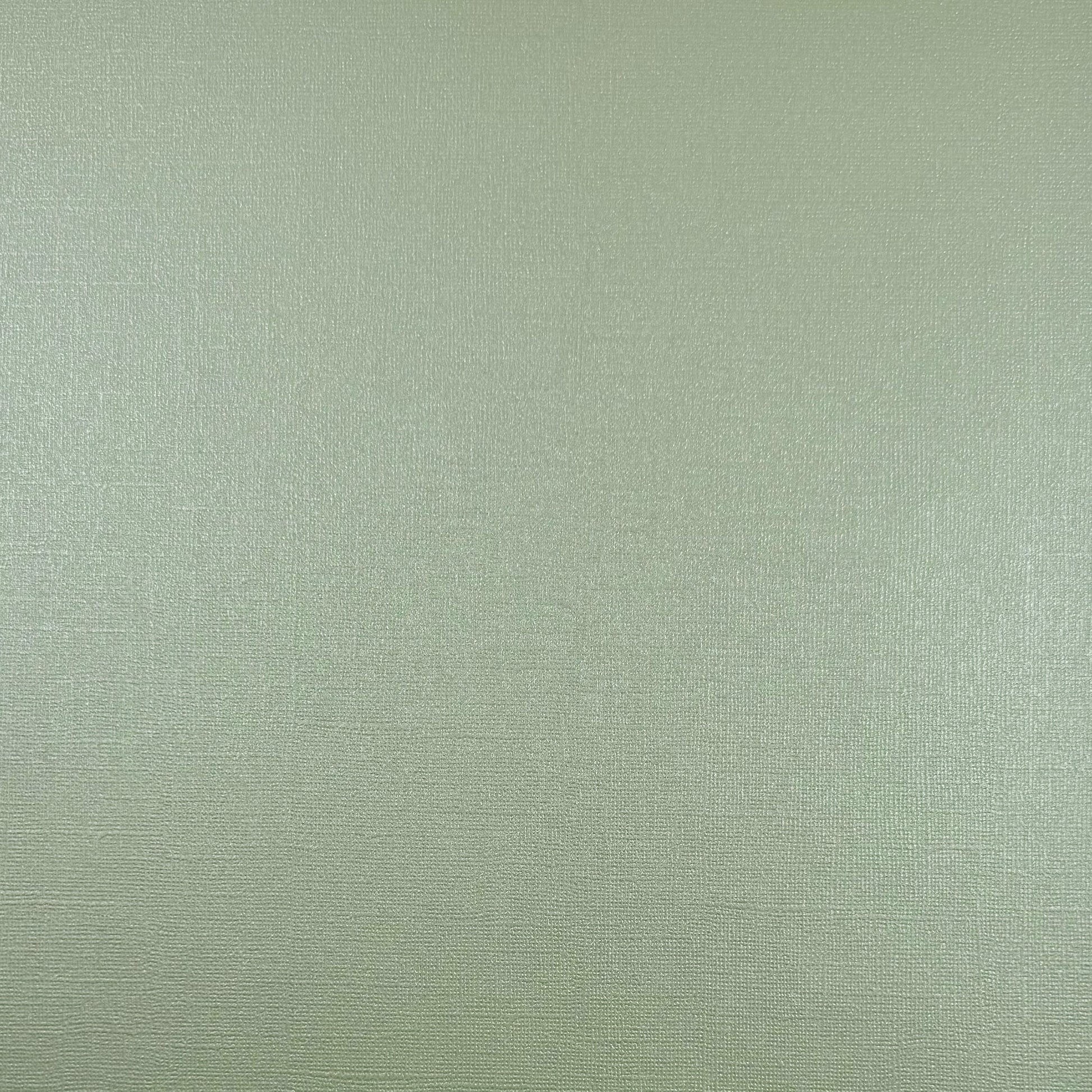 ICED MINT - 12x12 Textured Pearlescent Cardstock - Encore Shimmer