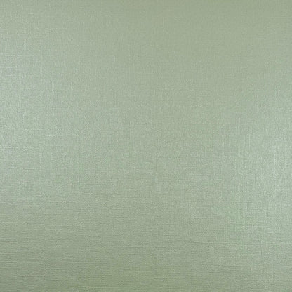 ICED MINT - 12x12 Textured Pearlescent Cardstock - Encore Shimmer