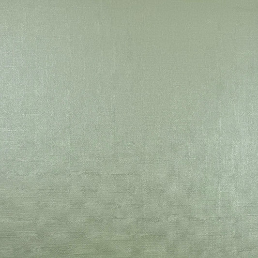 ICED MINT - 12x12 Textured Pearlescent Cardstock - Encore Shimmer