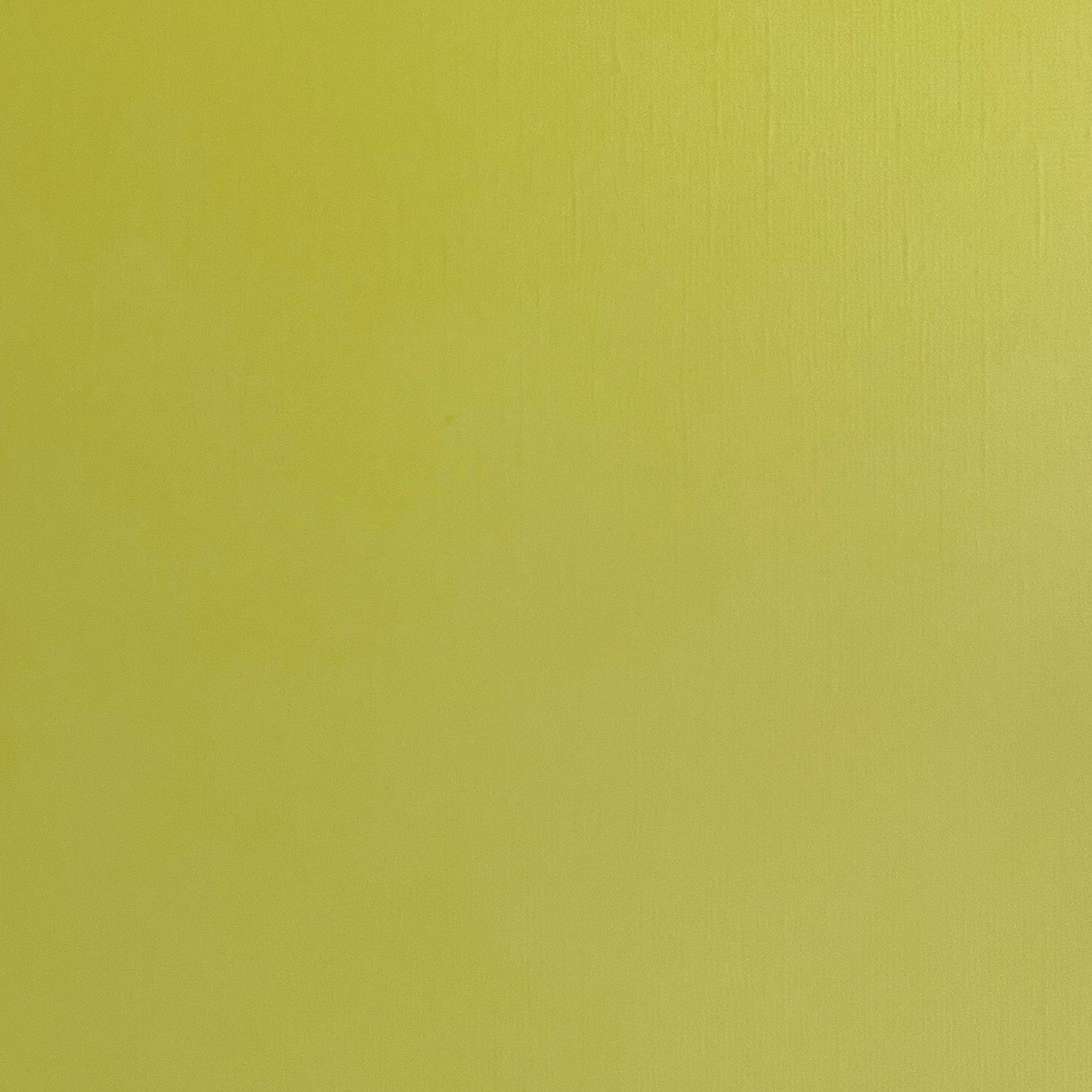 LICHEN - Textured 12x12 Cardstock - Encore Paper