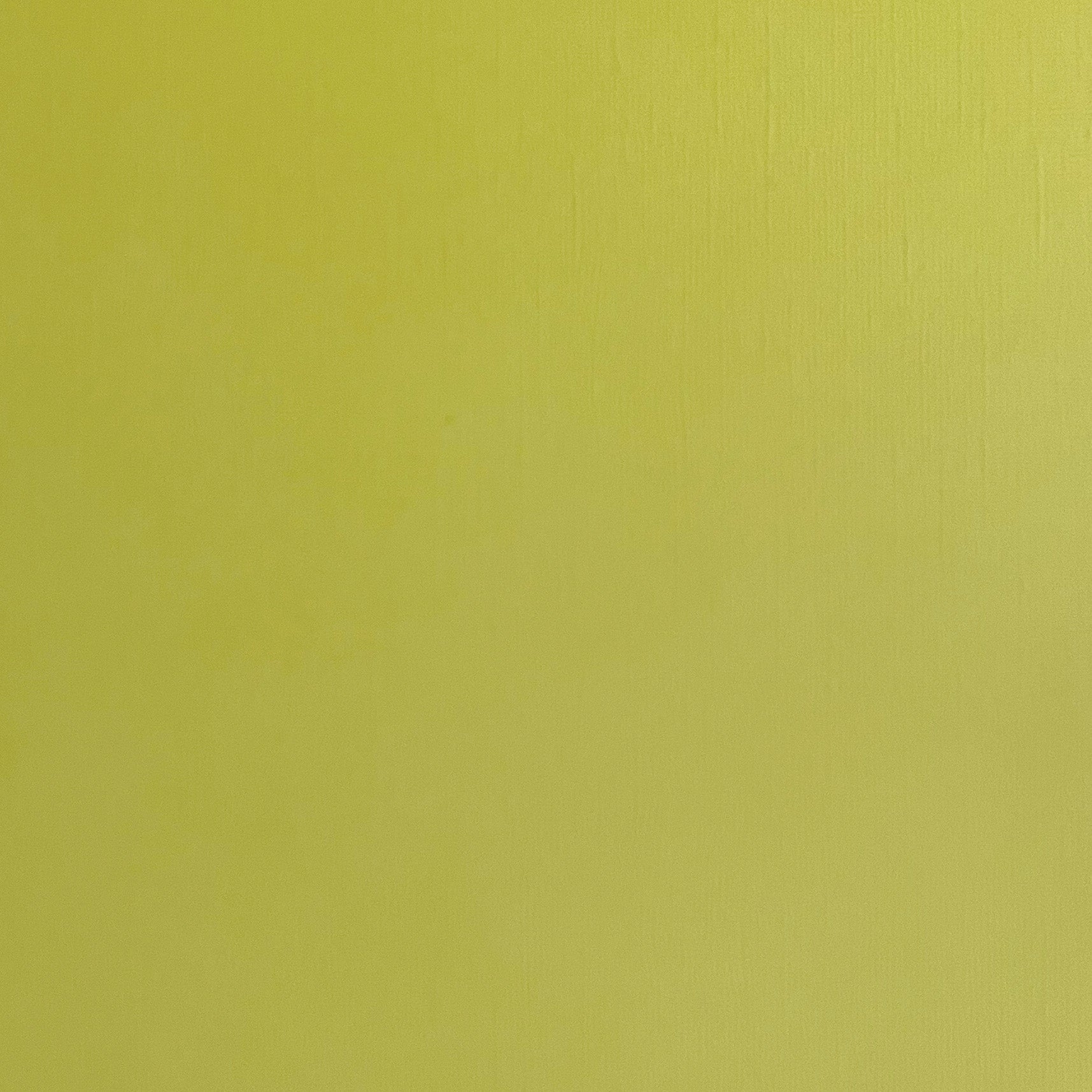 LICHEN - Textured 12x12 Cardstock - Encore Paper