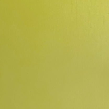 LICHEN - Textured 12x12 Cardstock - Encore Paper