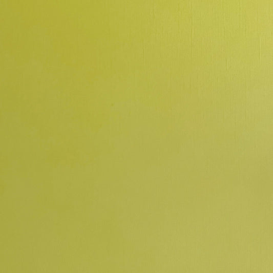 LICHEN - Textured 12x12 Cardstock - Encore Paper