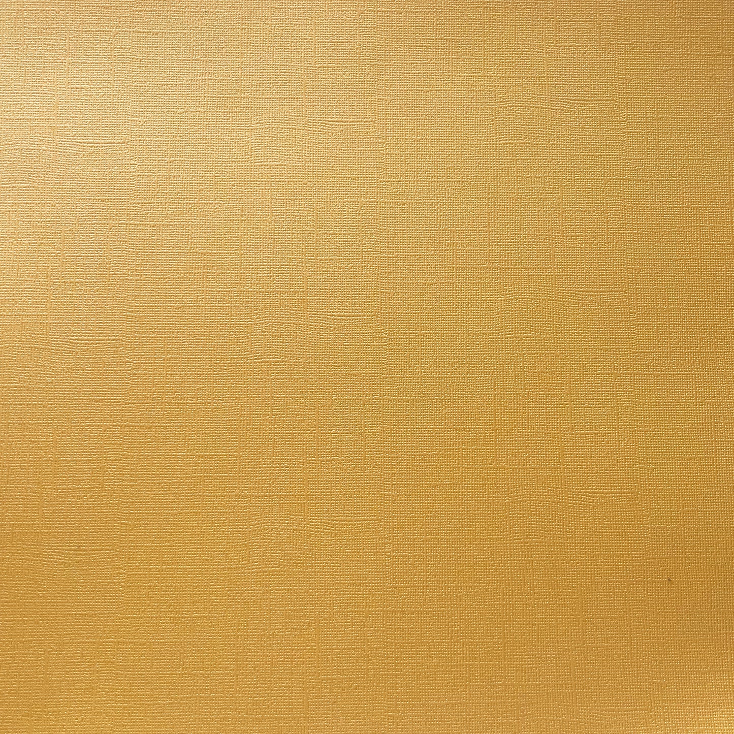 MAIZE - Shimmery Textured 12x12 Cardstock - Encore Shimmer