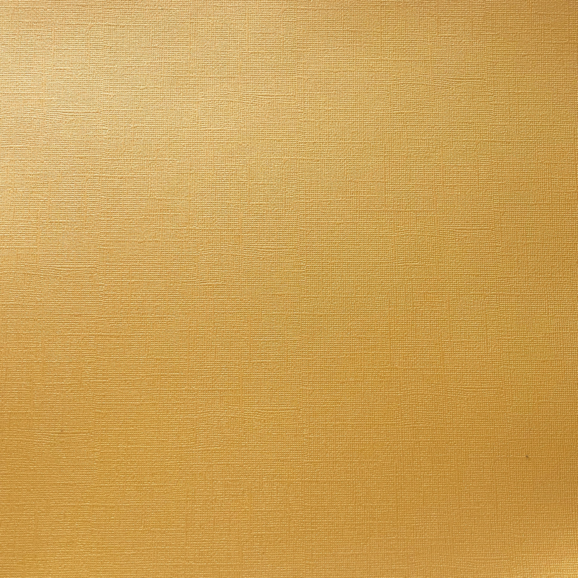 MAIZE - Shimmery Textured 12x12 Cardstock - Encore Shimmer