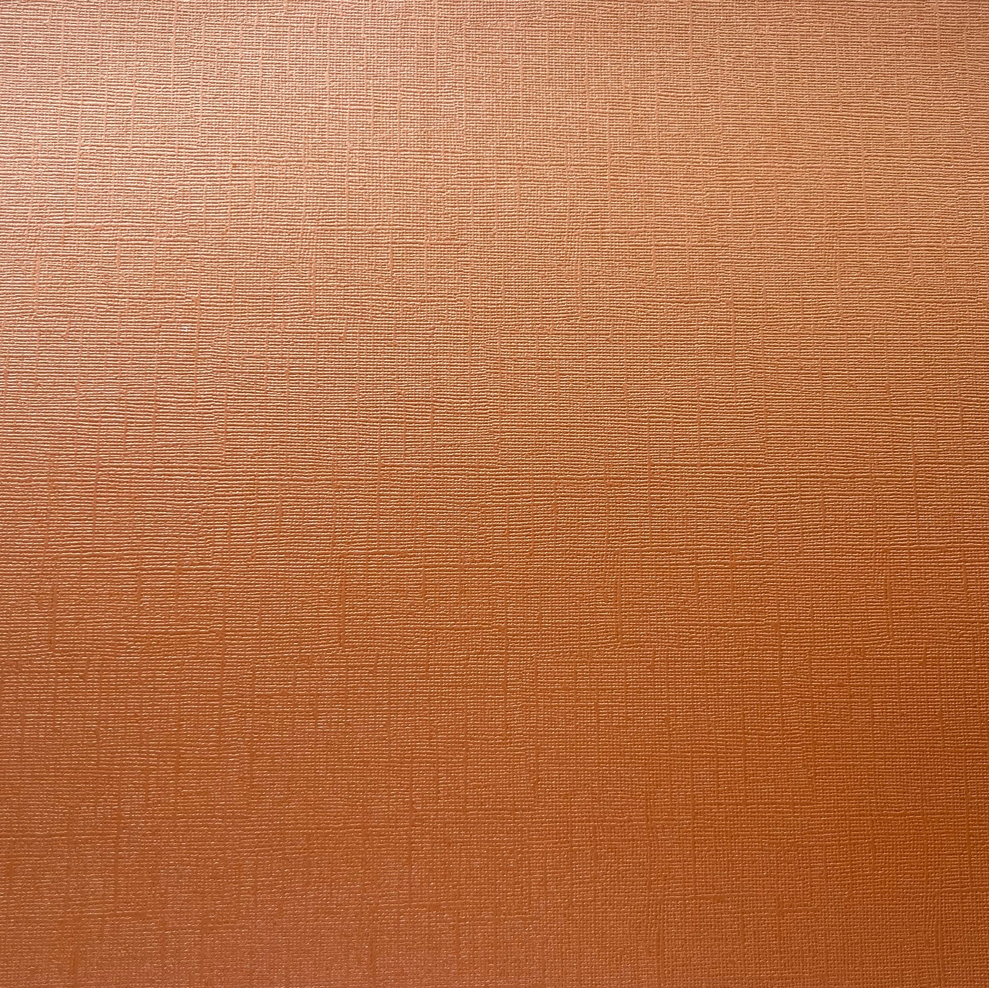 MARMALADE - Shimmery Textured 12x12 Cardstock - Encore Paper