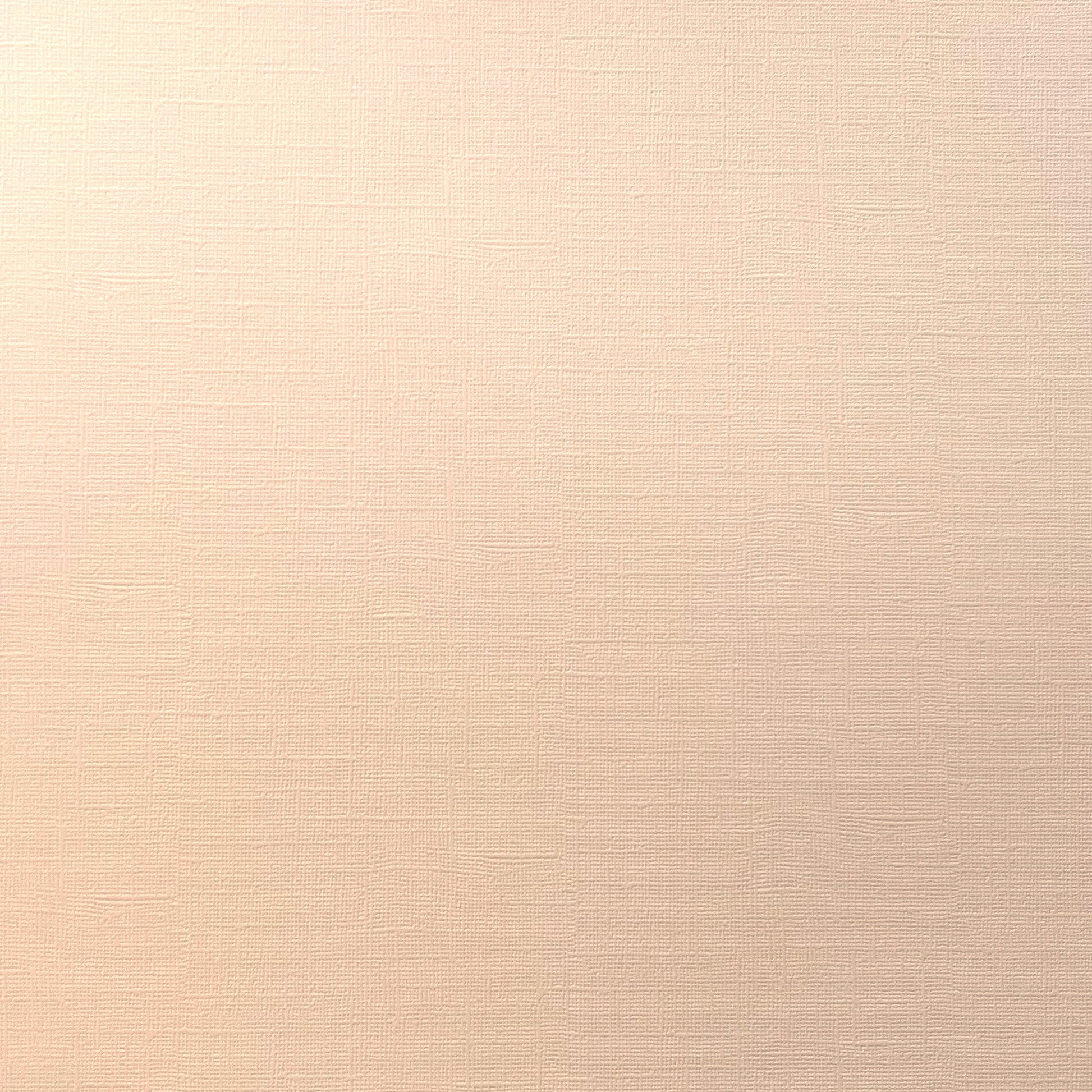 Encore Melon Mist pastel pink textured cardstock for Cricut cutting