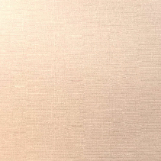 Encore Melon Mist pastel pink textured cardstock for Cricut cutting