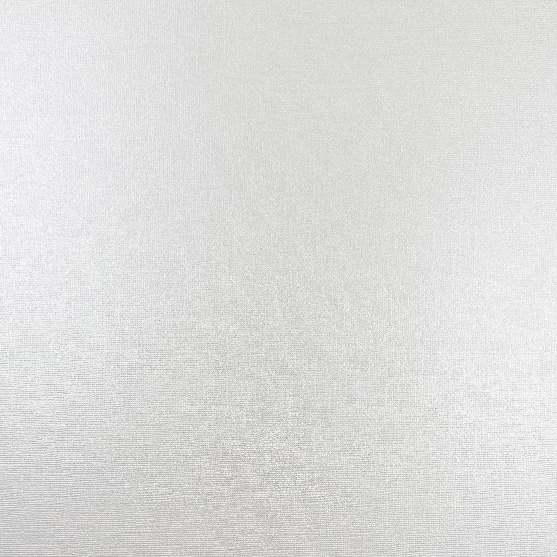 MILKY WAY - 12x12 Textured Pearlescent Cardstock - Encore Shimmer