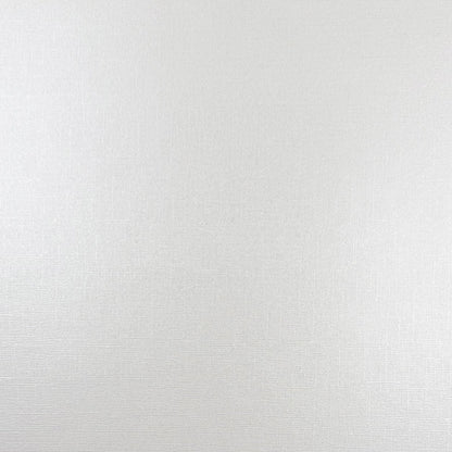 MILKY WAY - 12x12 Textured Pearlescent Cardstock - Encore Shimmer