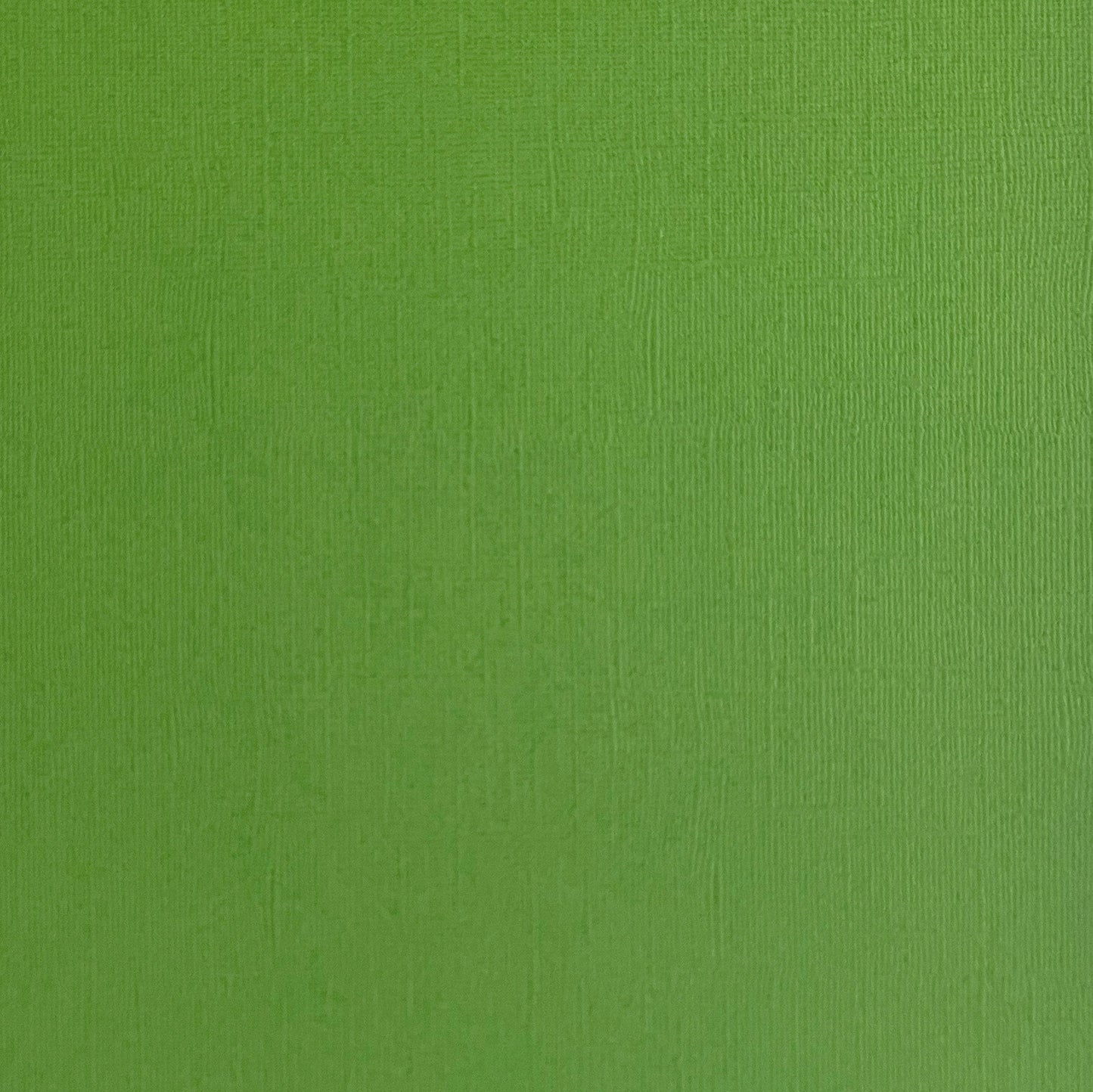 PARSLEY - Textured 12x12 Cardstock - Encore Paper