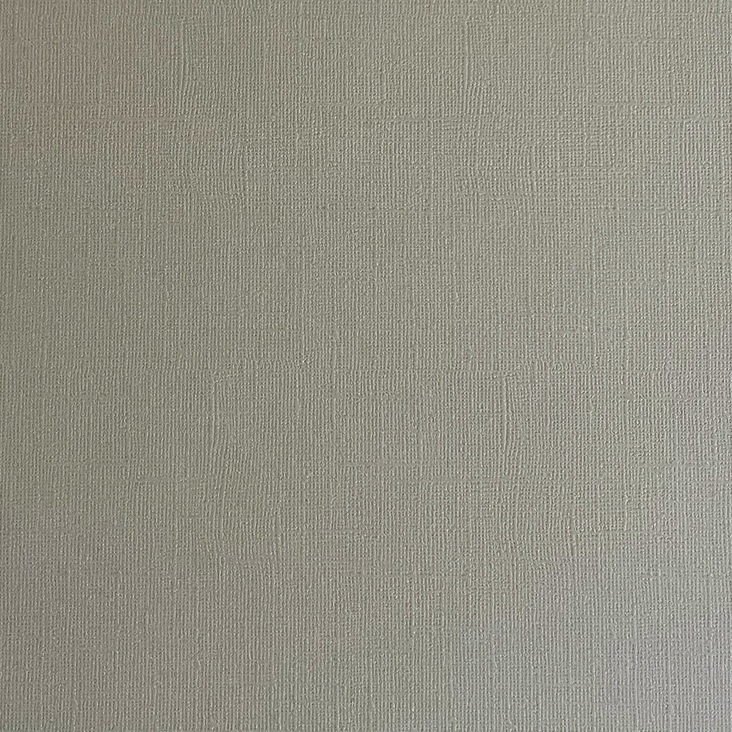 PUTTY GRAY - Textured 12x12 Cardstock - Encore Paper- Light Gray Textured Cardstock