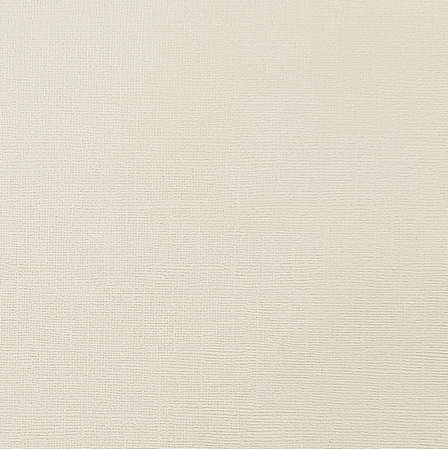 RIVER ROCK - Light Gray Textured 12x12 Cardstock - Encore Paper