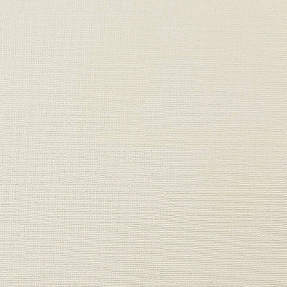 RIVER ROCK - Light Gray Textured 12x12 Cardstock - Encore Paper