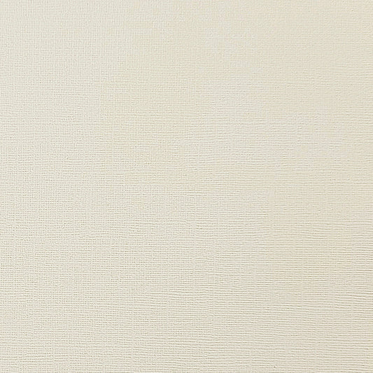 RIVER ROCK - Light Gray Textured 12x12 Cardstock - Encore Paper