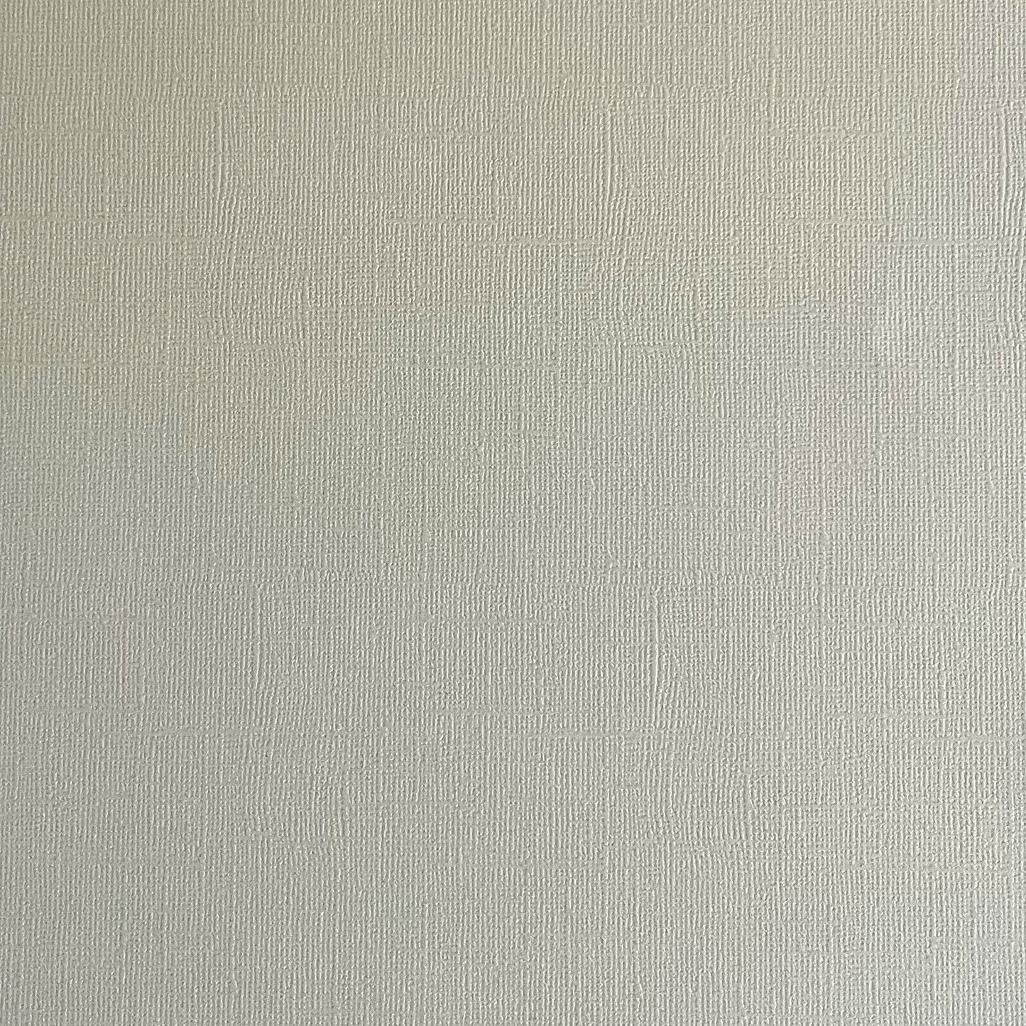 SAND DOLLAR - Light Gray Textured 12x12 Cardstock - Encore Paper