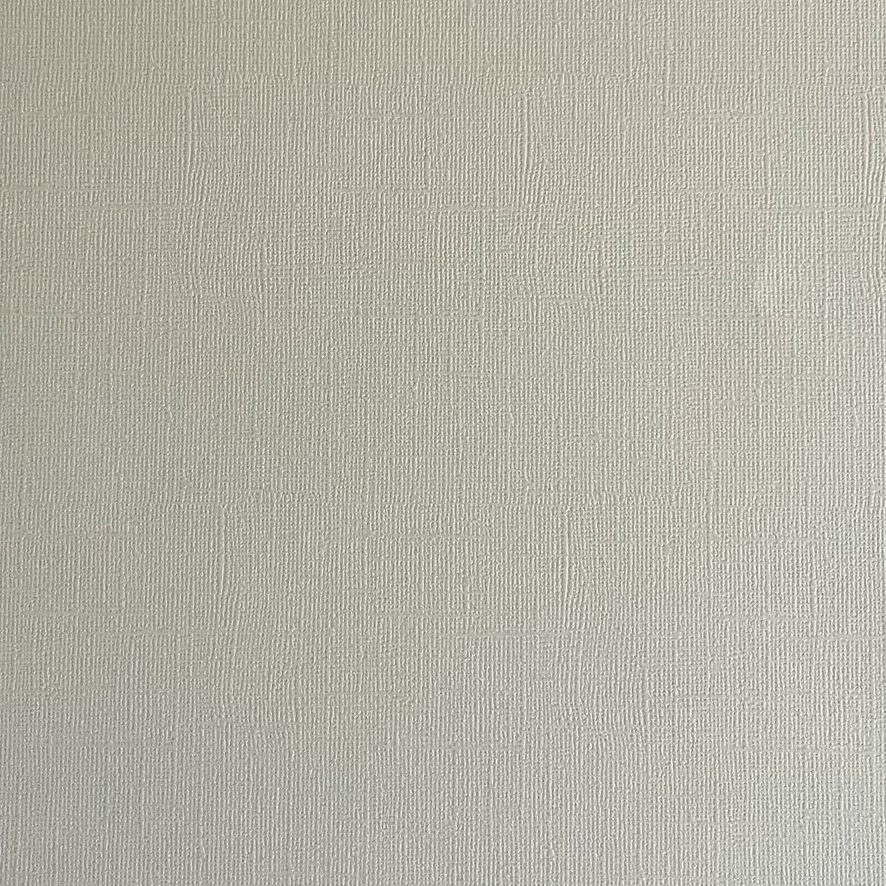 SAND DOLLAR - Light Gray Textured 12x12 Cardstock - Encore Paper