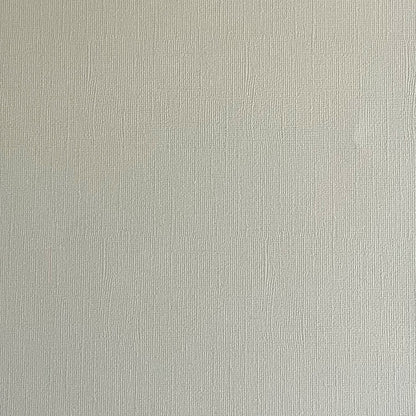 SAND DOLLAR - Light Gray Textured 12x12 Cardstock - Encore Paper