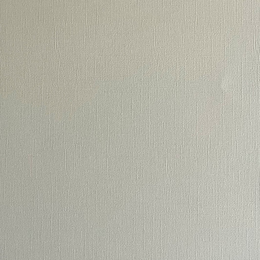 SAND DOLLAR - Light Gray Textured 12x12 Cardstock - Encore Paper