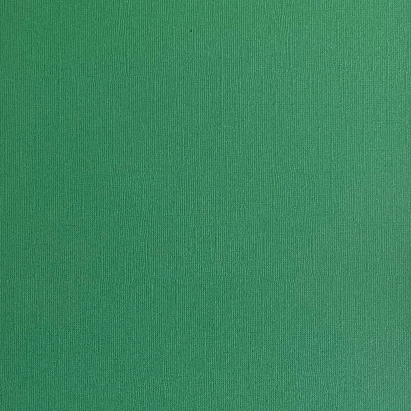 LUCKY CLOVER - Green Textured 12x12 Cardstock - Encore Paper