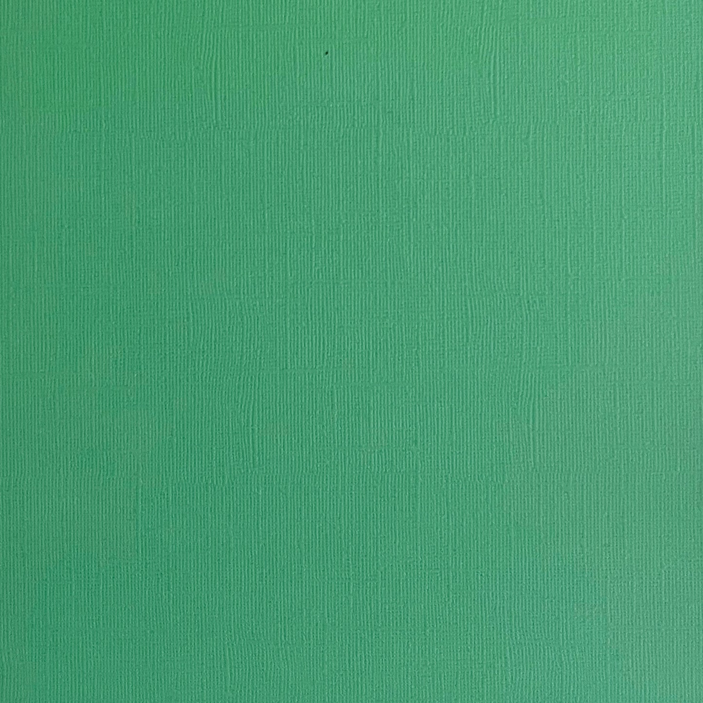 ENCORE SHAMROCK - Green Canvas Texture 25 Pack